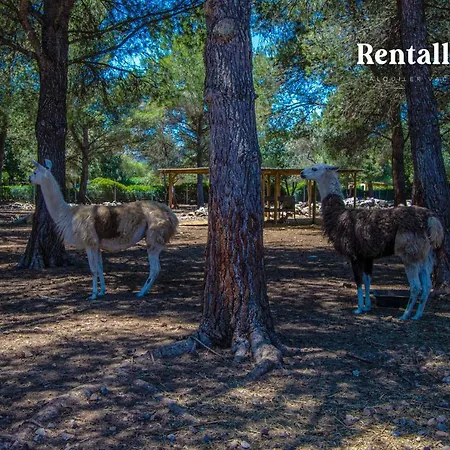 Finca Can Llamas * Pollenca