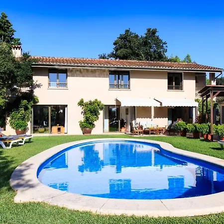 Llamas Villa Pollensa